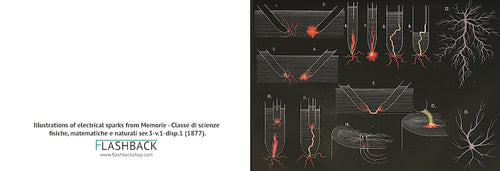 Illustrations of electrical sparks from Memorie - Classe di scienze fisiche, matematiche e naturali ser.3-v.1-disp.1 (1877) - Postcard