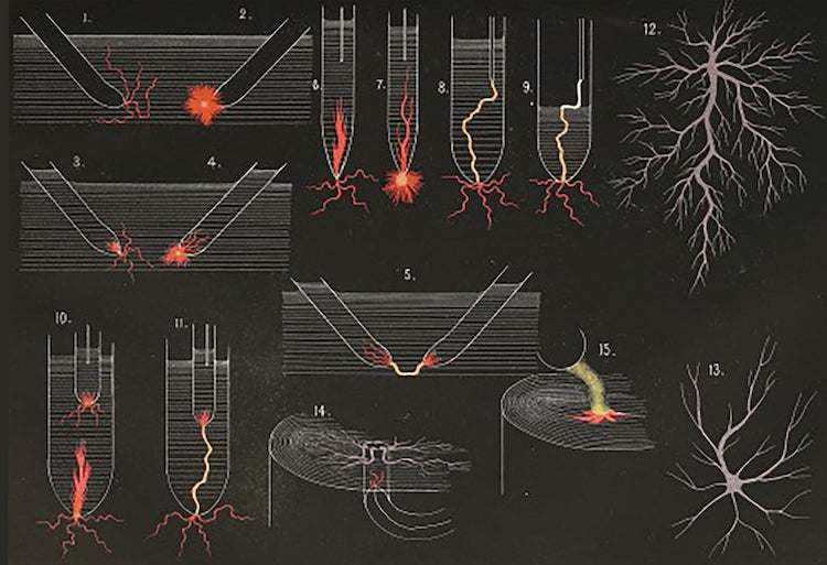 Illustrations of electrical sparks from Memorie - Classe di scienze fisiche, matematiche e naturali ser.3-v.1-disp.1 (1877) - Postcard