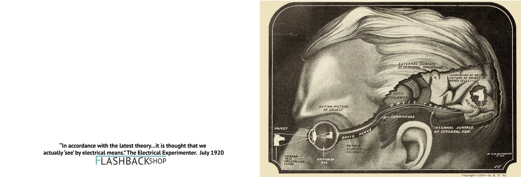 “In accordance with the latest theory…it is thought that we actually ‘see’ by electrical means.” The Electrical experimenter. July 1920 - Postcard
