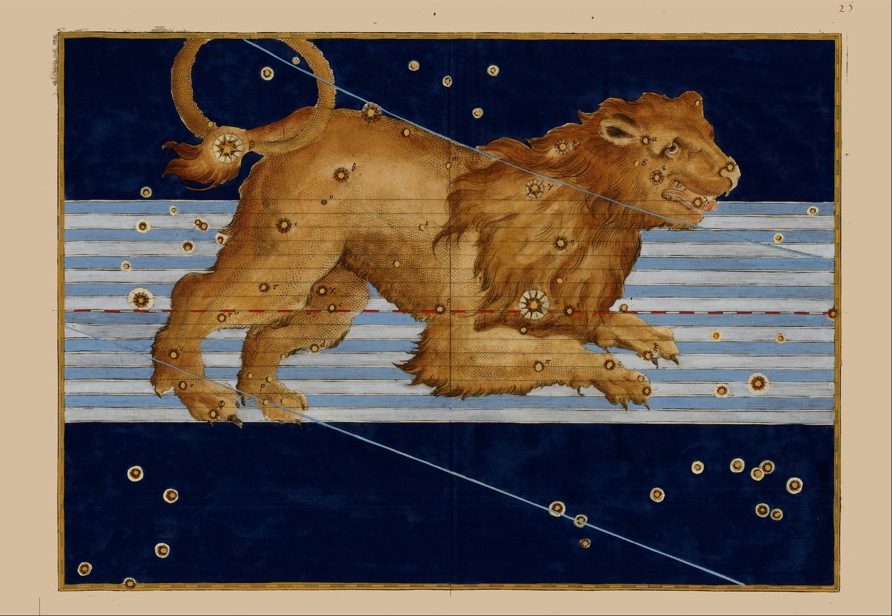 A framed art print featuring a golden lion constellation illustration on a dark blue striped background, shown beside text reading 'Leo by Johann Bayer, 1603 FLASHBACK' on a white page.