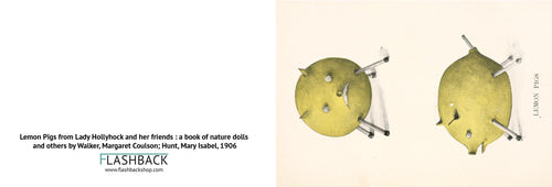 Lemon Pig from Lady Hollyhock and her friends a book of nature dolls and others by Margaret Walker, Margaret Coulson and Mary Isabel Hunt, 1906 - postcard