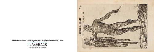 Muscle man holding his skin by Juan Valverde, 1586 - postcard