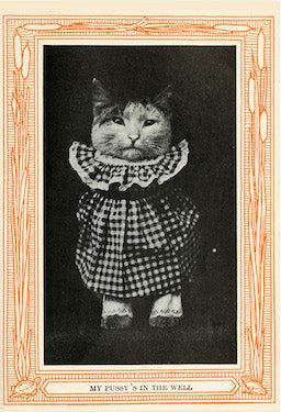 My Pussy's Down The Well from Kittens and Cats - A First Reader (1911) - Postcard