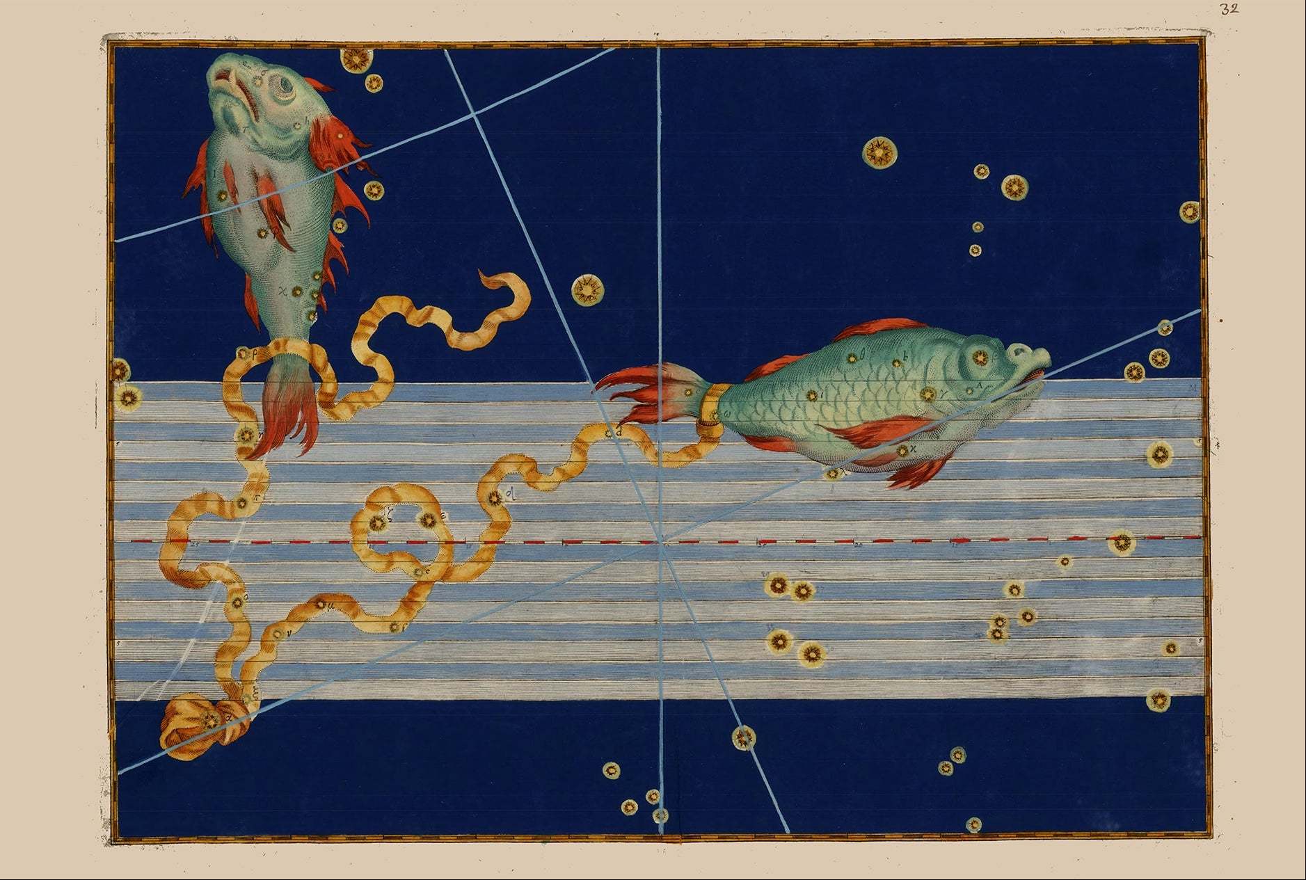 Pisces by Johann Bayer, 1603 - postcard
