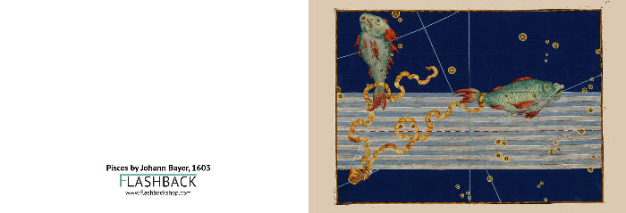 A square art print or poster featuring a stylized fish illustration on a deep blue background with gold stars and a striped horizontal band. The print is shown against a beige wall, with a white margin on the left containing the text 'Pieces by Johann Bayer, 1605 FLASHBACK www.
