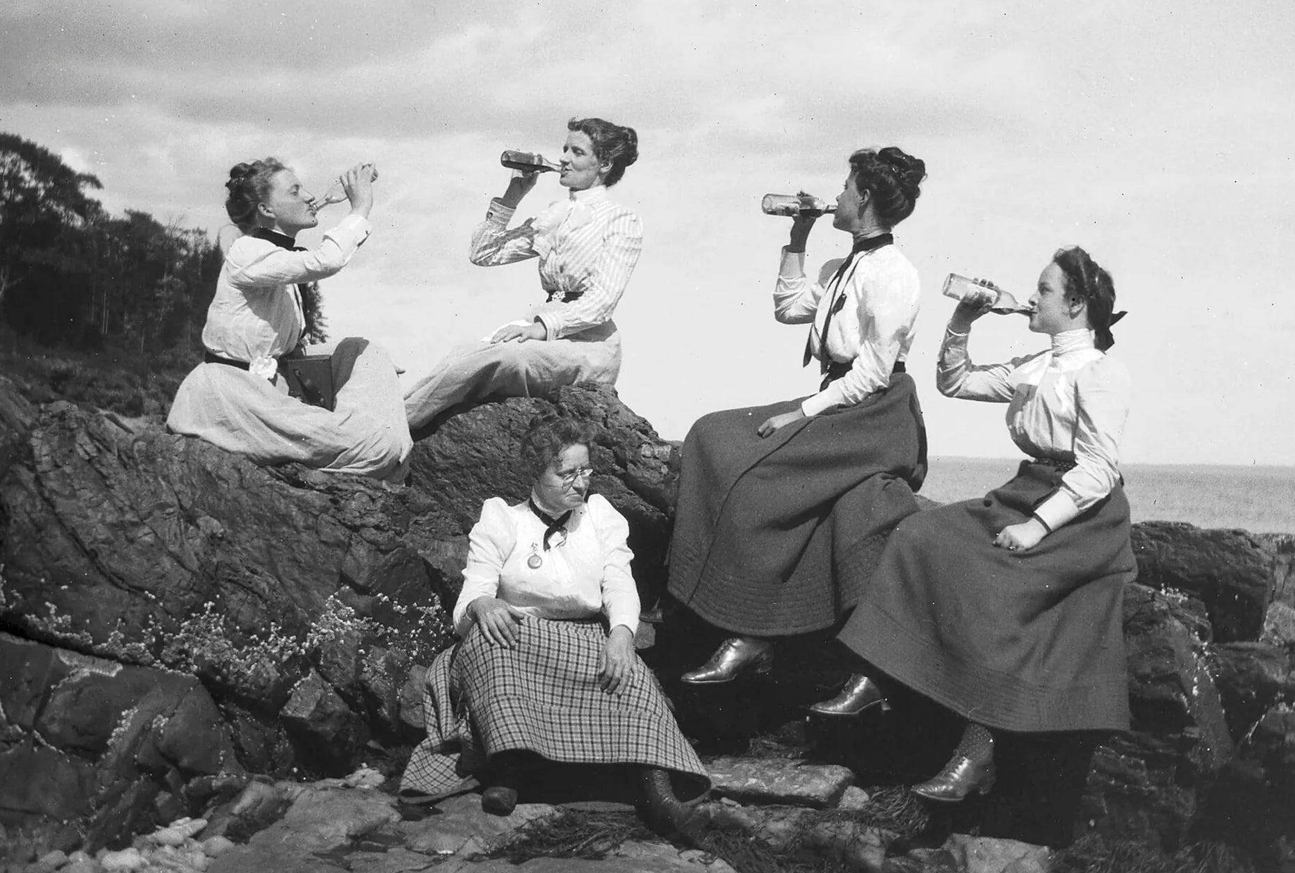 Picnic at Sherman's Point by Theresa Babb - Postcard