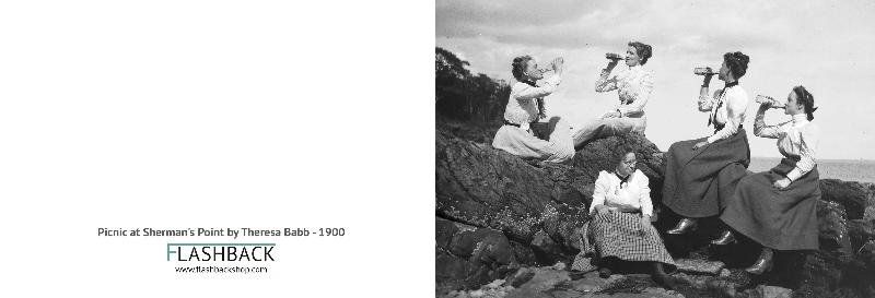 Picnic at Sherman's Point by Theresa Babb - Postcard