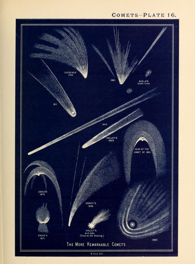 Plate 16. The more remarkable comets. A popular handbook and atlas of astronomy, 1891 - Postcard