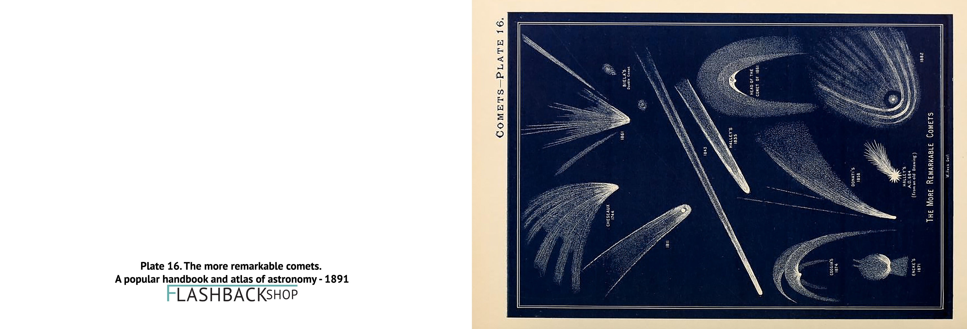 Plate 16. The more remarkable comets. A popular handbook and atlas of astronomy, 1891 - Postcard
