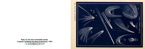 Plate 16. The more remarkable comets. A popular handbook and atlas of astronomy, 1891 - Postcard