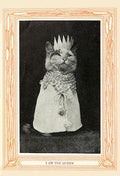 Reina Gata de Gatitos y Gatos - Un Primer Lector, 1911 - Postal