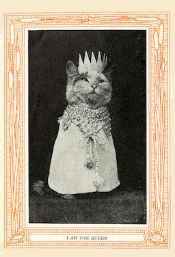 Queen Cat from Kittens and Cats - A First Reader, 1911 - Postcard