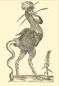 Rooster from Ulissi Aldrovandi’s Monstrorum Historia, c. 1599 - postcard