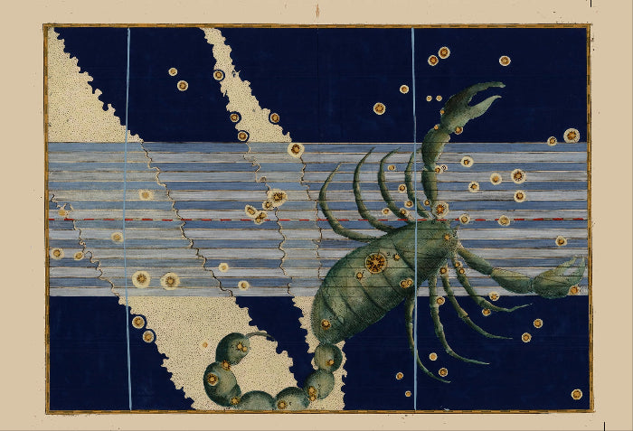A vintage-style artwork panel depicting a green lobster or crab among gold fish on a blue and white striped background, shown alongside text reading 'Scorpion by Johann Bayer, 1603' and 'FLASHBACK'.