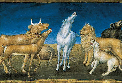 The End of the World: And the stars will fall from the sky and the animals will be afraid by Cristoforo De Predis, 1476 -  Postcard