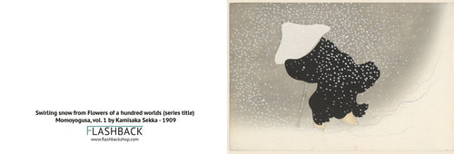 Swirling snow Tomoe no yuki Flowers of a hundred worlds (series title) Momoyogusa, vol. 1 by Kamisaka Sekka, 1909 - Postcard