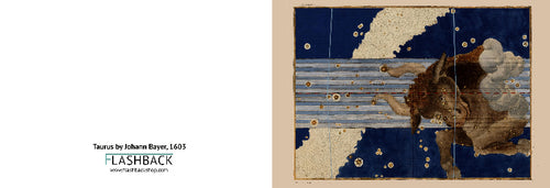 A book or catalog cover featuring a reproduction of Johann Bayer's 1605 artwork 'The Taurus'. The left side is white with the title 'Taurus by Johann Bayer, 1605' and 'FLASHBACK' branding.