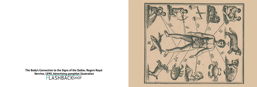 The Body’s Connection to the Signs of the Zodiac, Rogers Royal Nervine, 1890 - Postcard