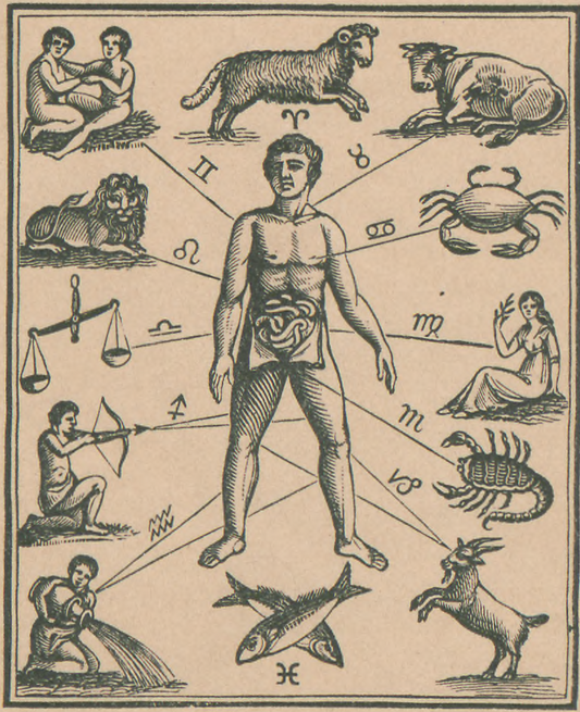 The Body’s Connection to the Signs of the Zodiac, Rogers Royal Nervine, 1890 - Postcard
