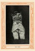 The Hero from Kittens and Cats - A First Reader, 1911 - Postcard