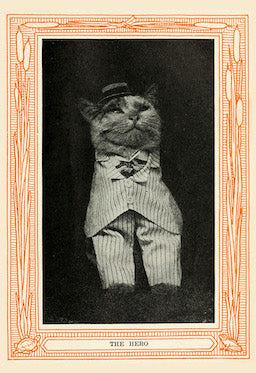 The Hero from Kittens and Cats - A First Reader, 1911 - Postcard