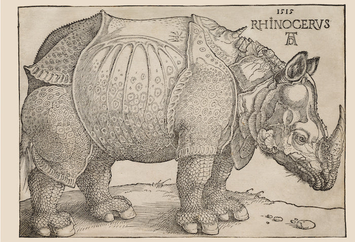 The Rhinoceros by Albrecht Dürer, 1515 - Postcard