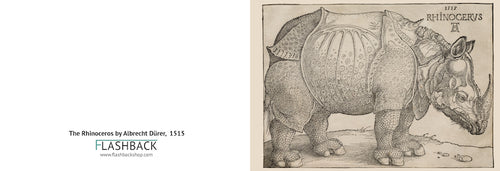 The Rhinoceros by Albrecht Dürer, 1515 - Postcard