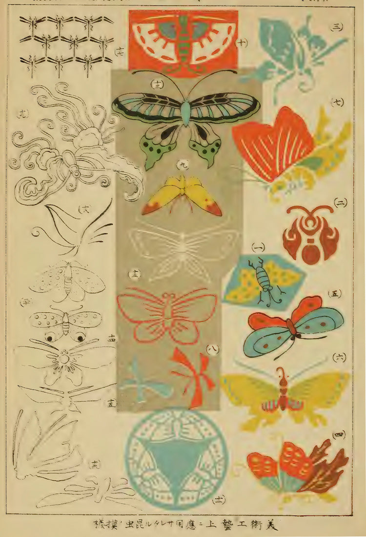 Winged insects from Insect World magazine 1900 - Postcard