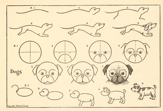How To Draw Dogs by Edwin Lutz, 1913 - Postcard