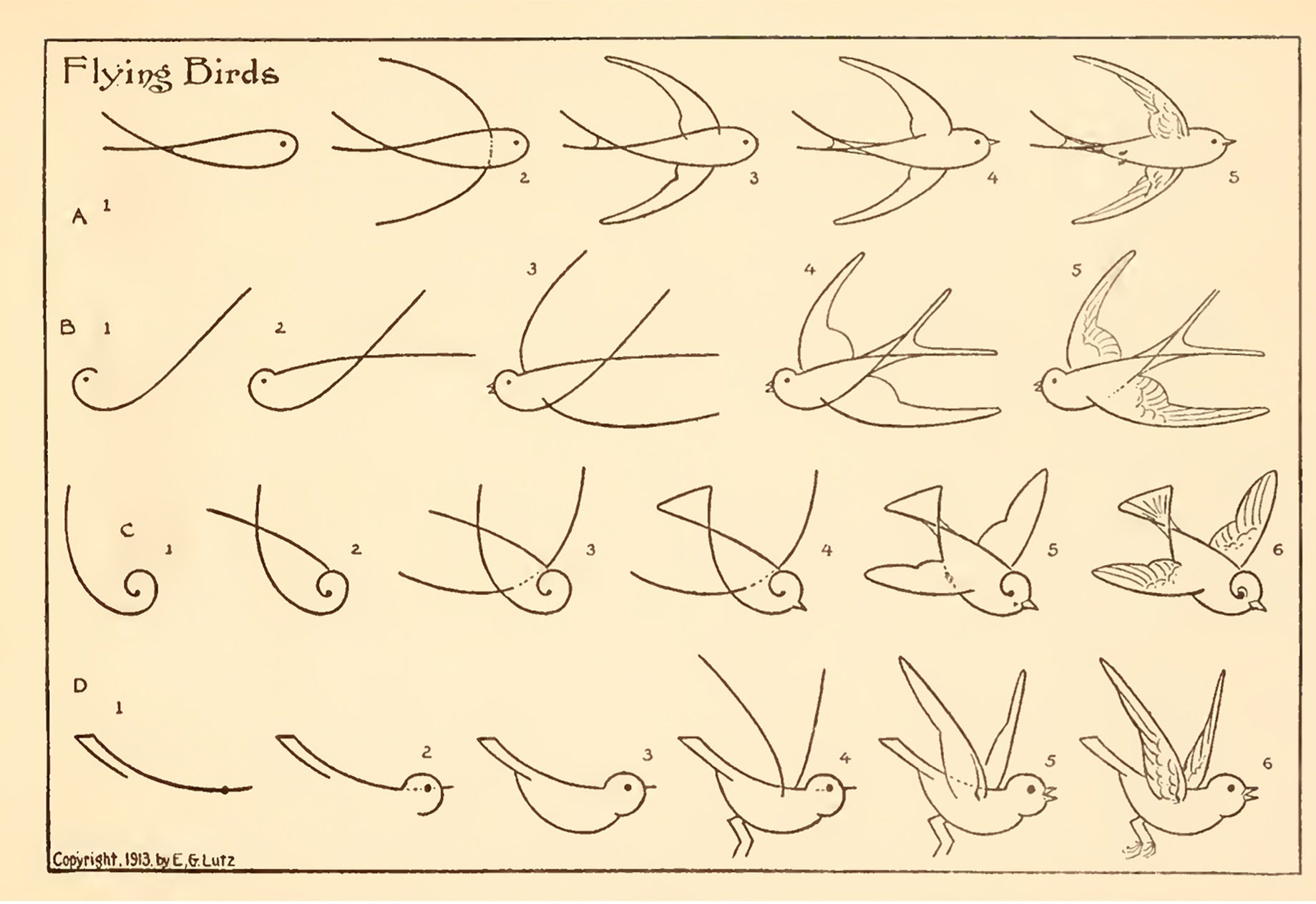 How To Draw Flying Birds by Edwin Lutz, 1913 - Postcard
