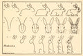 Cómo dibujar conejos de Edwin Lutz, 1913 - Postal