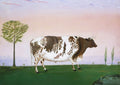Prize Bull by  H. Call 1876
