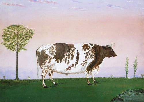 Prize Bull by  H. Call 1876