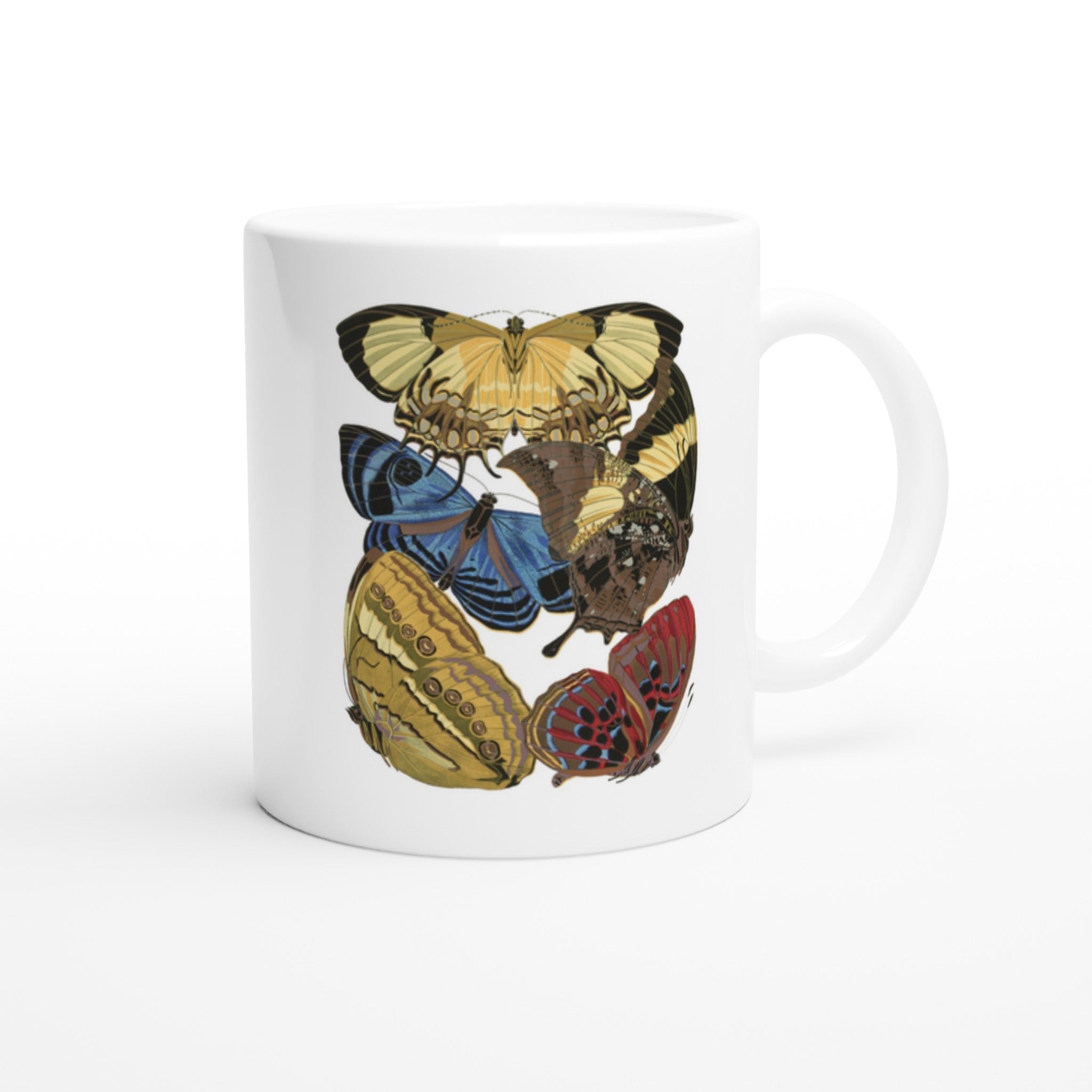 de246914-53df-404b-aba6-28bd37b64d86