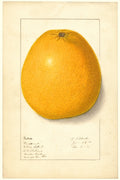 9947728