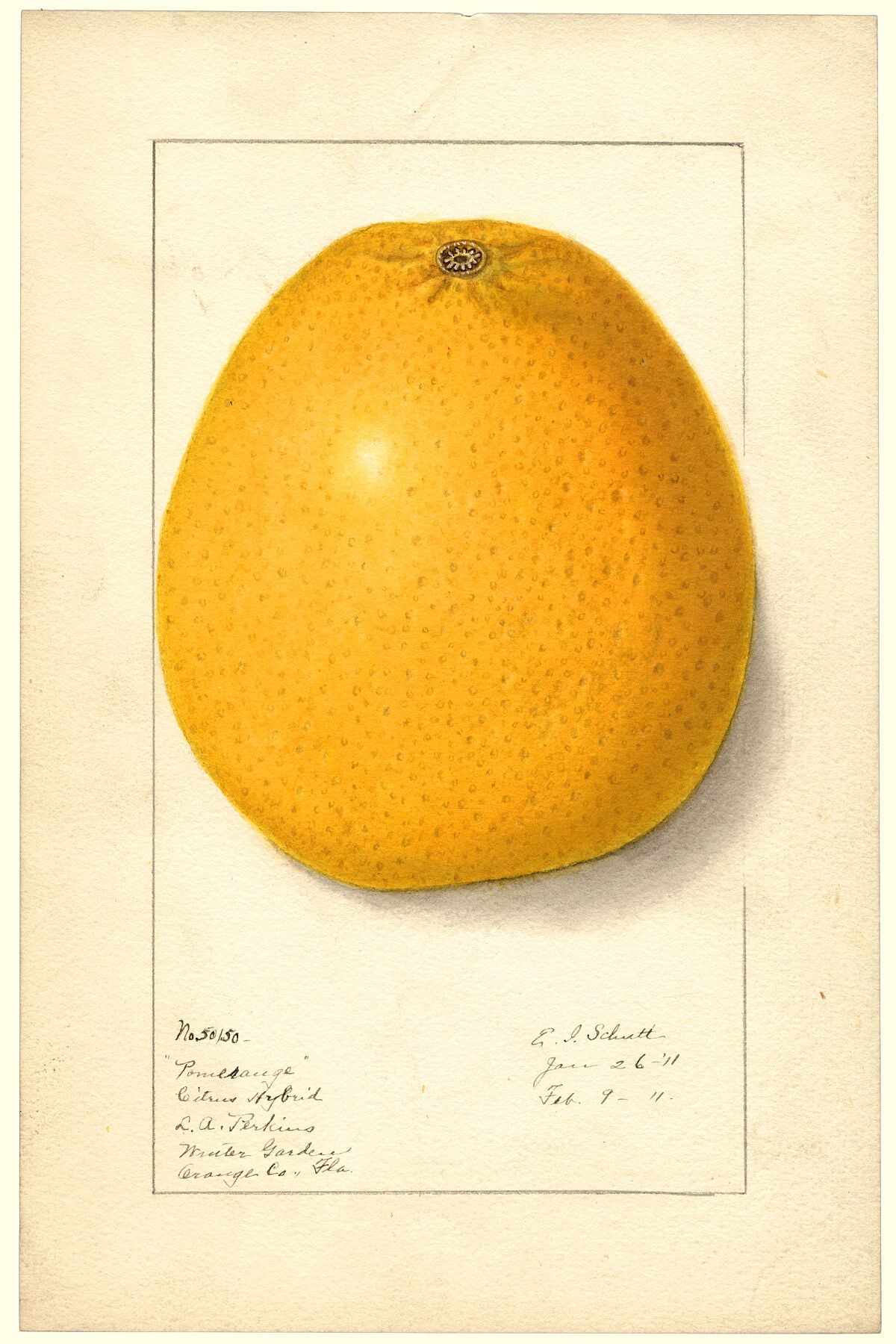 9947728