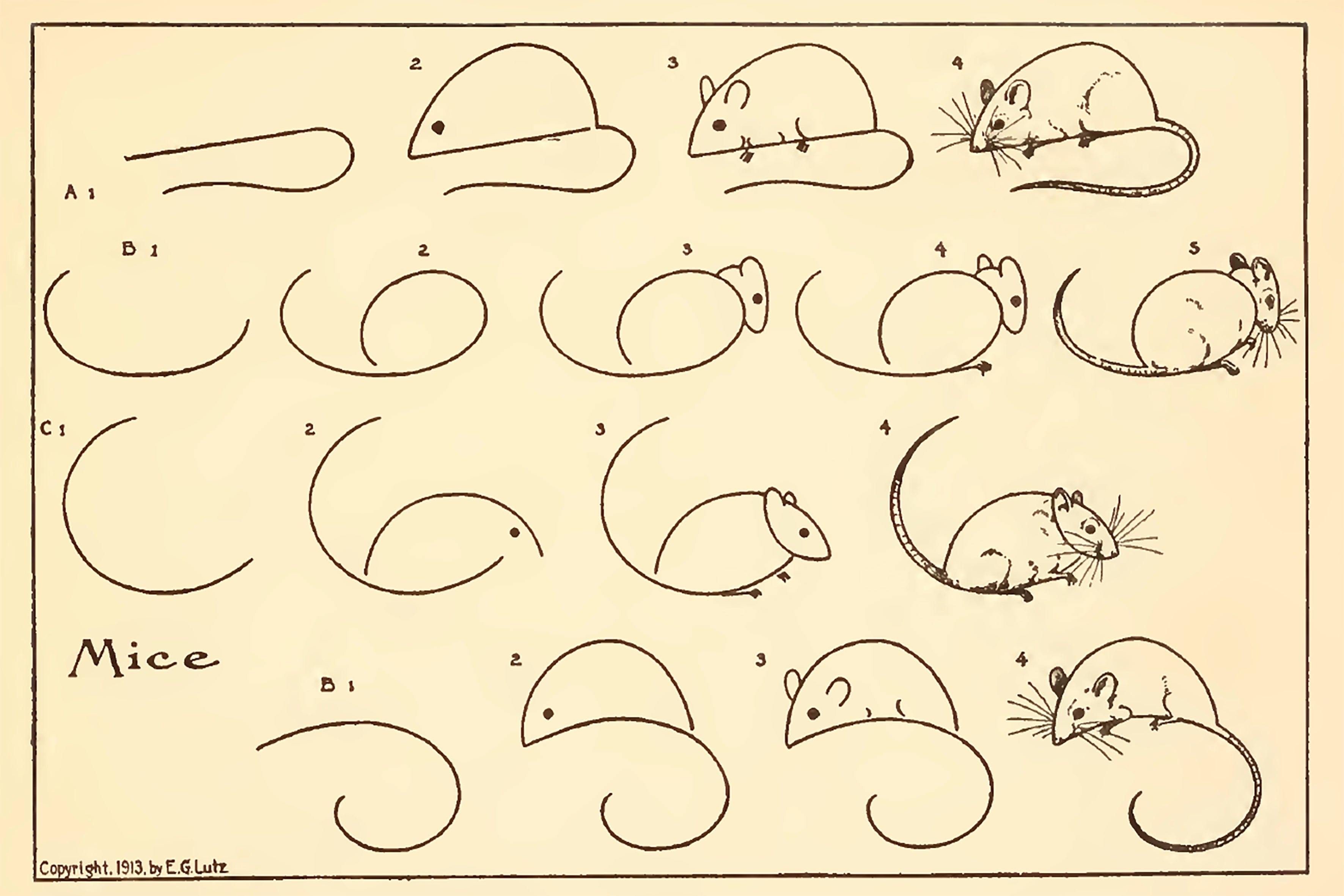 How To Draw Mice by Edwin Lutz, 1913 - Postcard