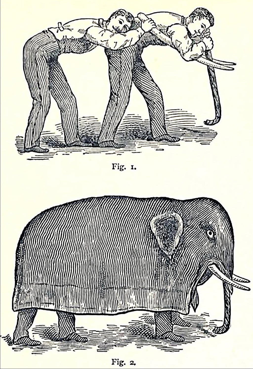 Instructional diagrams showing how to create an elephant costume, 19th century - Postcard