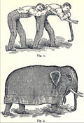 Instructional diagrams showing how to create an elephant costume, 19th century - Postcard