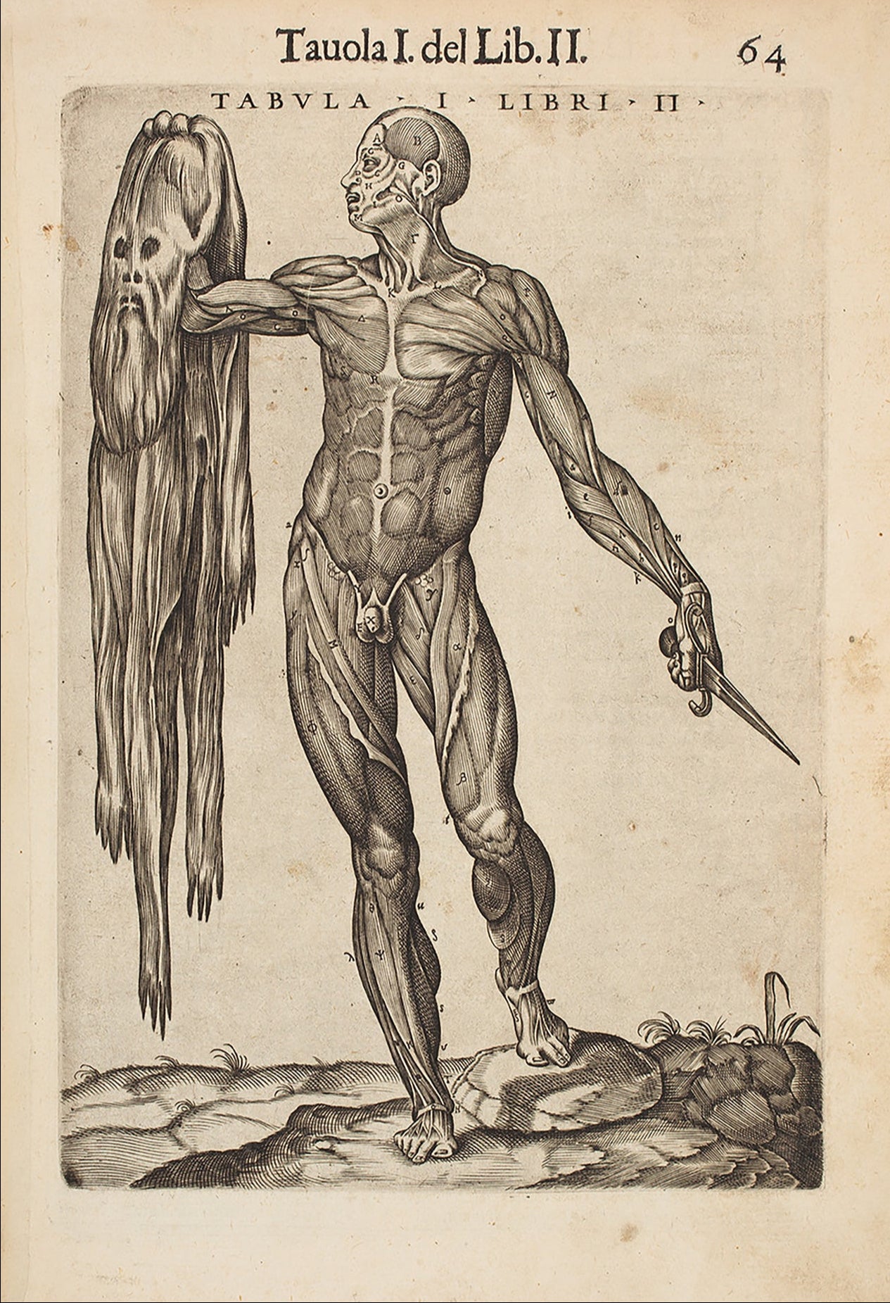 Muscle man holding his skin by Juan Valverde, 1586 - postcard