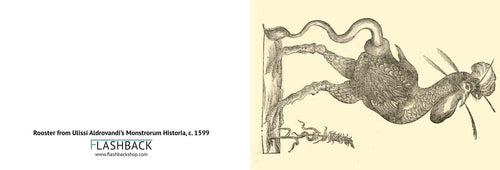 Rooster from Ulissi Aldrovandi’s Monstrorum Historia, c. 1599 - postcard