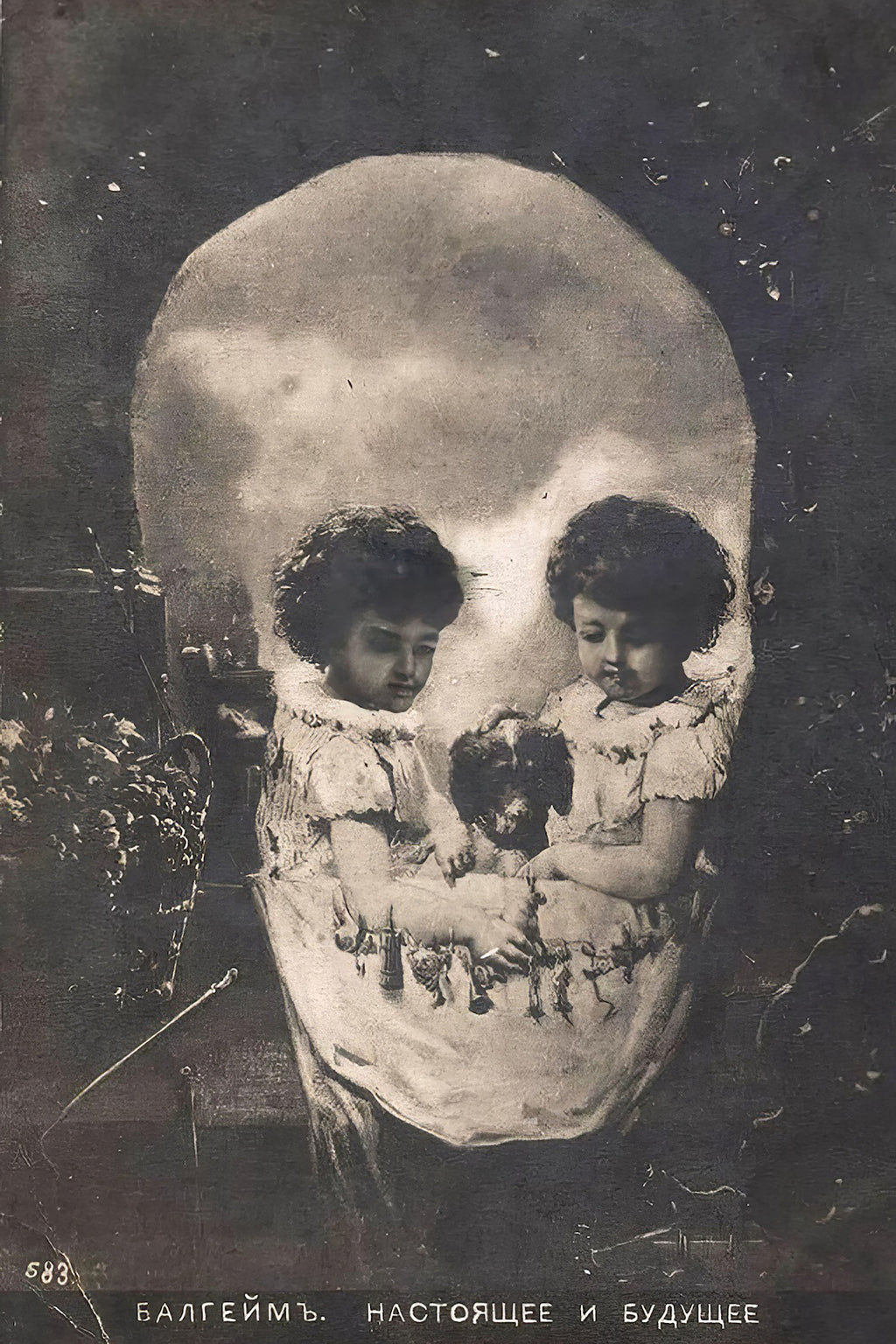 Dog nose death, c. 1905 - Postcard