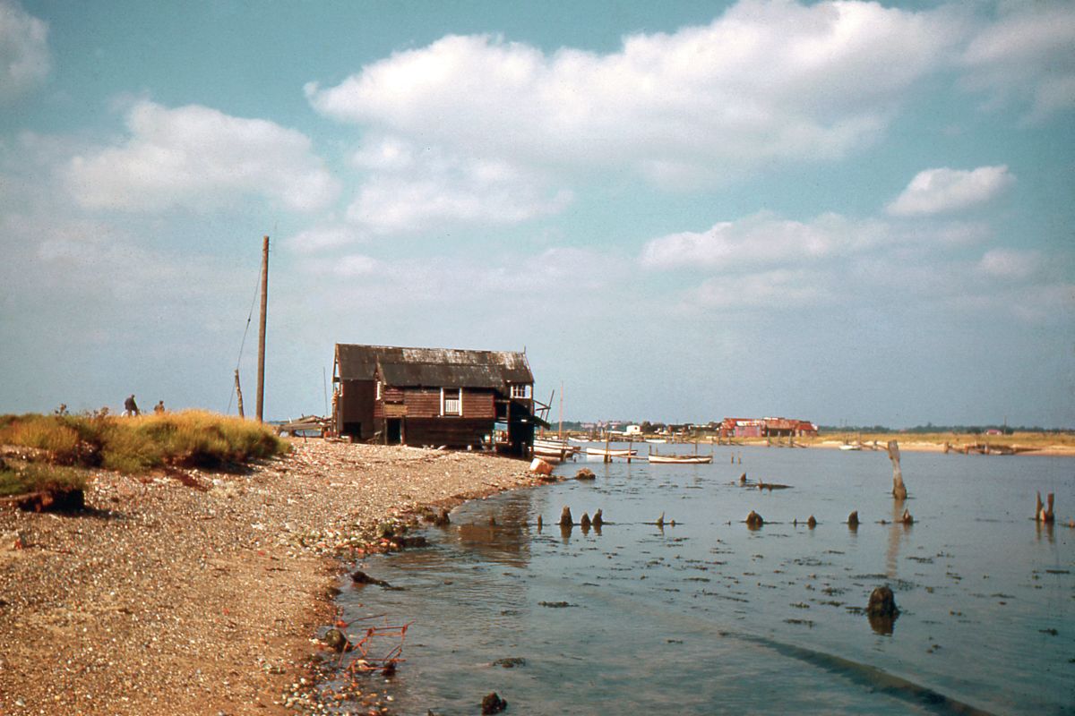 Walberswick, Suffolk by Hardwicke Knight - c.1955