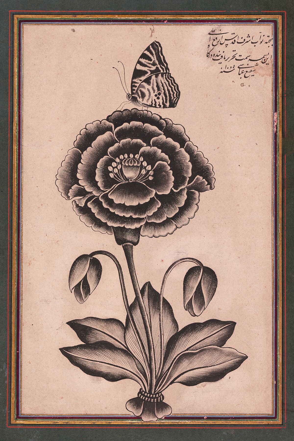 Fleur et un papillon par Shafi' Abbasi - ca. 1628–74