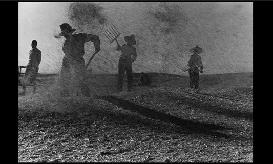 Agricultural Workers Throw Grain in the Aragon Region by Gerda Taro - 1936