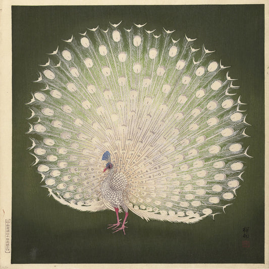 Peacock by Ohara Koson - 1925 - 1936