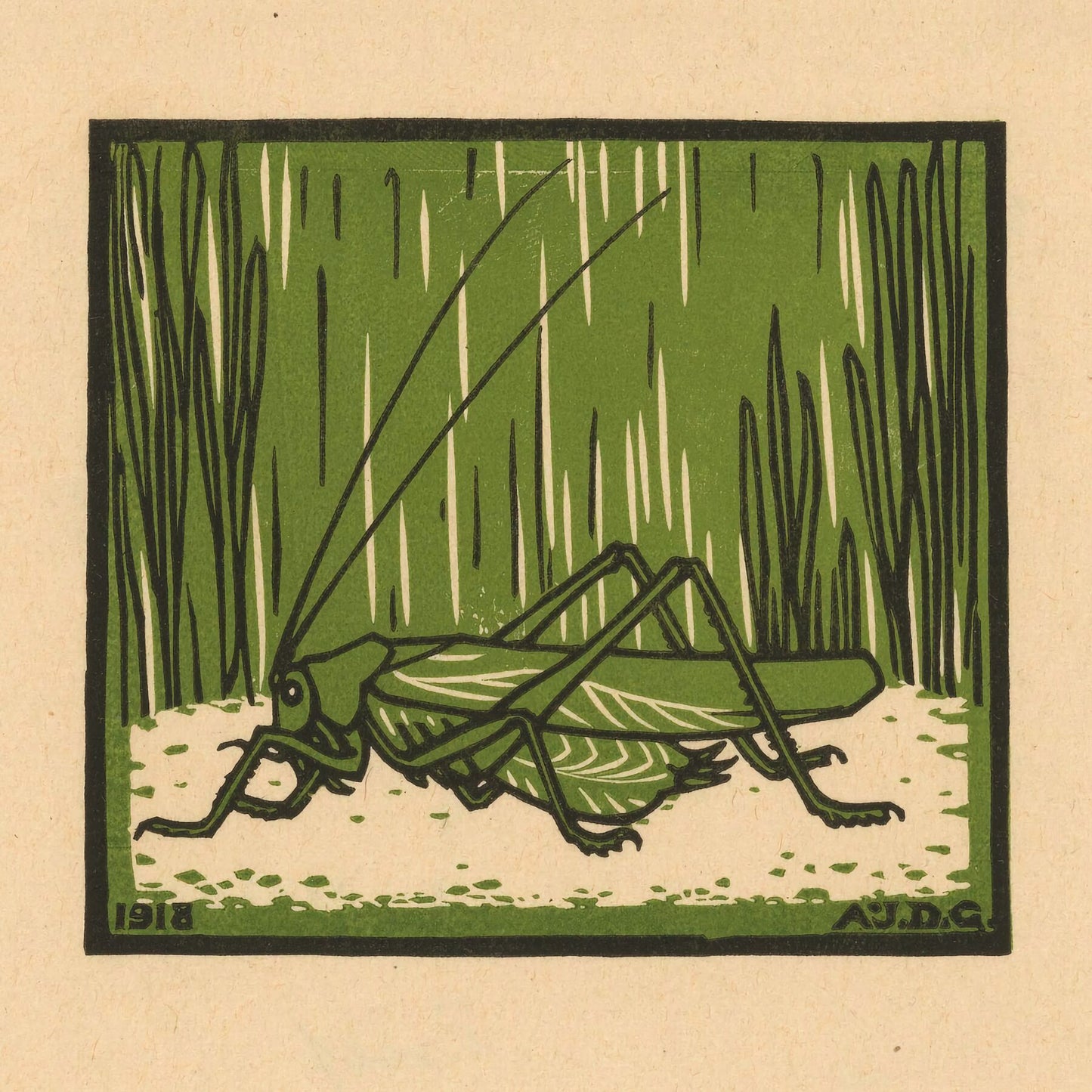 Grasshopper by Julie de Graag - 1918