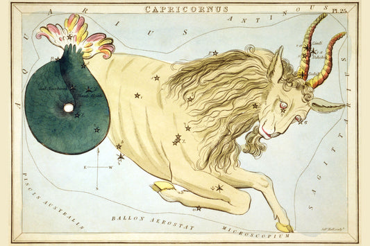 Urania’s Mirror “Capricornus” by Sidney Hall - 1825