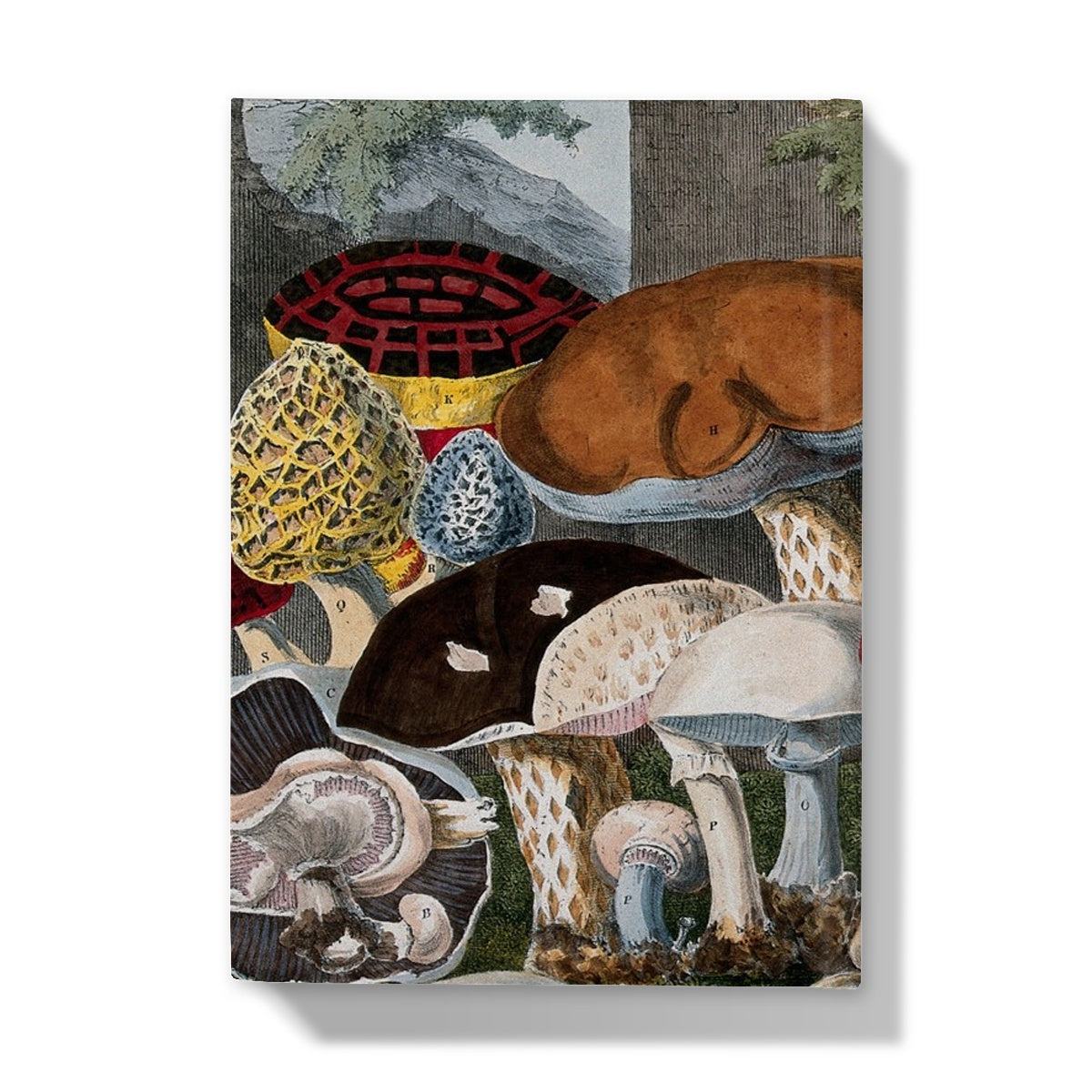 Edible Fungi by A. Cornillon, ca. 1827, after Prieur - Hardback Journal