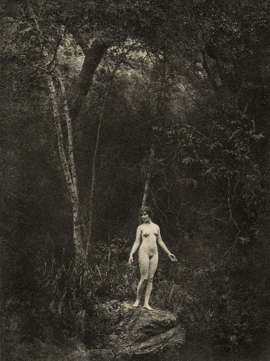 Female Nude in Forest Setting by Arthur F. Kales - c.1920
